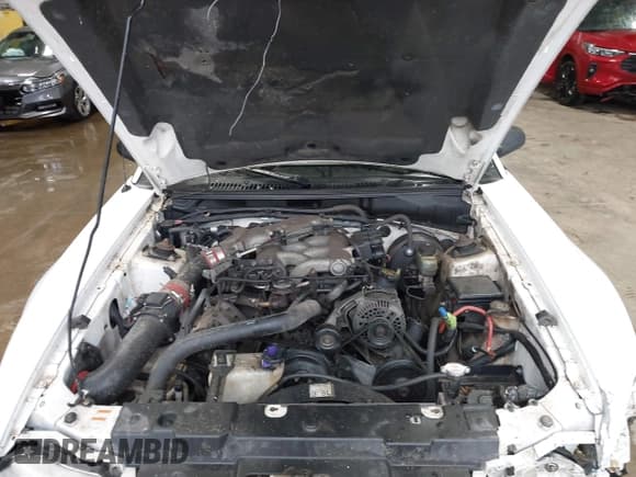 ✅ 1999 Ford Mustang • VIN: 1FAFP4048XF118956 • Lot: 43219945. Wystawiony na IAAI z przebiegiem 121 741 mil. Bezpłatny archiwum sprzedaży aukcyjnych z USA i szczegółowy raport historii pojazdu na DreamBid. Zdjęcie 10.