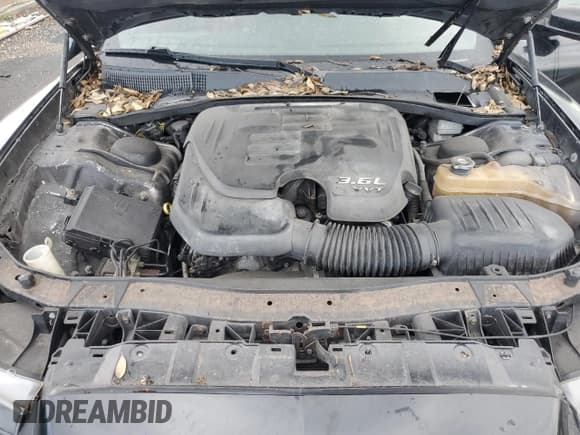 ✅ 2011 Dodge Charger Rallye • VIN: 2B3CL3CGXBH553995 • Лот: 81855915. Опубликован ранее на Copart с пробегом 96 494 миль. Бесплатный доступ к архиву аукционных продаж из США и подробный отчёт об истории автомобиля на DreamBid. Изображение 11.