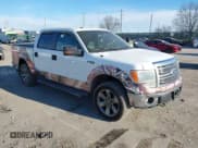 ✅ 2011 Ford F-150 XLT • VIN: 1FTFW1EF0BFB11059 • Lot: 43905361. Listed on IAAI with 290,277 mi. Free auction sales archive from the USA and detailed vehicle history report at DreamBid. Image 1.