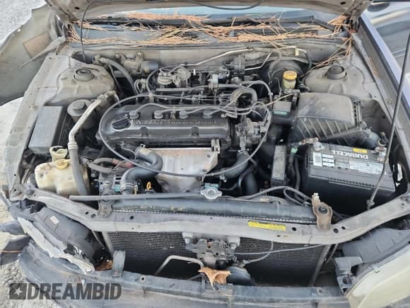 ✅ 1998 Nissan Altima XE • VIN: 1N4DL01D9WC231678 • Lot: 92891045. Listed on Copart with 385,051 mi. Free auction sales archive from the USA and detailed vehicle history report at DreamBid. Image 11.