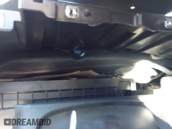 ✅ 2025 Hyundai Elantra SEL Sport • VIN: KMHLM4DG6SU933179 • Lot: 43275340. Wystawiony na IAAI z przebiegiem 44 mil. Bezpłatny archiwum sprzedaży aukcyjnych z USA i szczegółowy raport historii pojazdu na DreamBid. Zdjęcie 7.