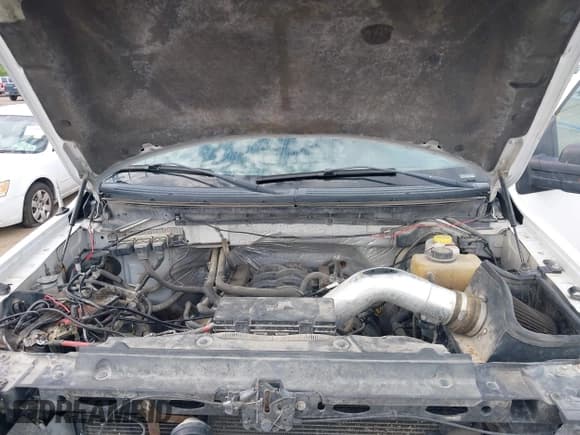 ✅ 2014 Ford F-150 XLT • VIN: 1FTFW1EF8EKF90522 • Lot: 43224077. Wystawiony na IAAI z przebiegiem 181 436 mil. Bezpłatny archiwum sprzedaży aukcyjnych z USA i szczegółowy raport historii pojazdu na DreamBid. Zdjęcie 10.