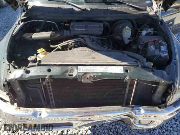 1999 Dodge 1500 с VIN 3B7HC13Y4XG240711, выставлен на аукционе Copart как лот 80141094 с пробегом 239 956 миль миль и Списание • Salvage title. История ставок и продаж доступна на DreamBid. Изображение 11.