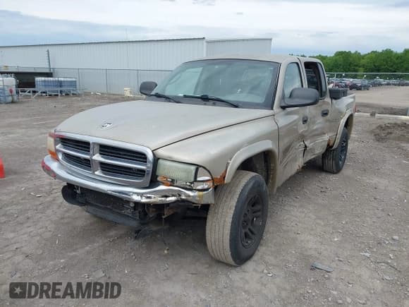 ✅ 2002 Dodge Dakota SLT • VIN: 1B7HG48N32S721409 • Lot: 42295499. Wystawiony na IAAI z przebiegiem 183 991 mil. Bezpłatny archiwum sprzedaży aukcyjnych z USA i szczegółowy raport historii pojazdu na DreamBid. Zdjęcie 2.