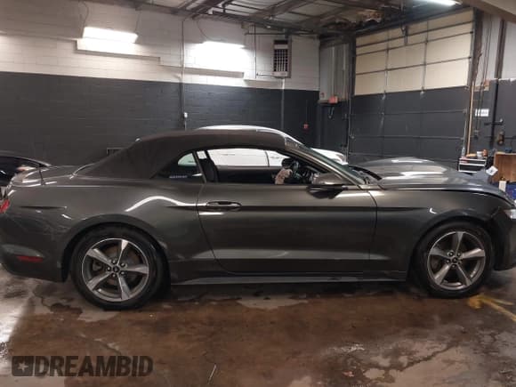 ✅ 2017 Ford Mustang V6 • VIN: 1FATP8EM5H5238210 • Lot: 41983430. Listed on IAAI with 18,792 mi. Free auction sales archive from the USA and detailed vehicle history report at DreamBid. Image 13.