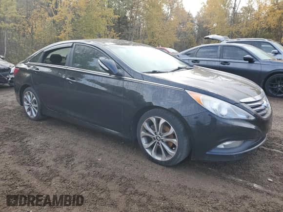 2014 Hyundai Sonata SE with VIN 5NPEC4AC1EH871318, listed as a Copart auction lot 85163455 with 224,225 mi miles and Salvage title. Bid and sale history available at DreamBid. Image 4.