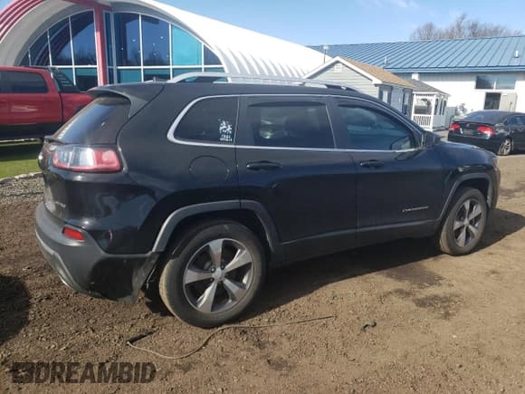 ✅ 2020 Jeep Cherokee Limited • VIN: 1C4PJMDX8LD504352 • Lot: 41265244. Wystawiony na Copart z przebiegiem 123 058 mil. Bezpłatny archiwum sprzedaży aukcyjnych z USA i szczegółowy raport historii pojazdu na DreamBid. Zdjęcie 3.