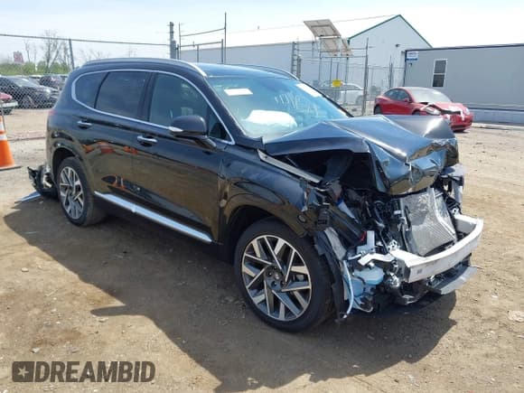 ✅ 2023 Hyundai Santa Fe Calligraphy • VIN: 5NMS54AL2PH607408 • Lot: 42094479. Listed on IAAI with 28,525 mi. Free auction sales archive from the USA and detailed vehicle history report at DreamBid. Image 1.