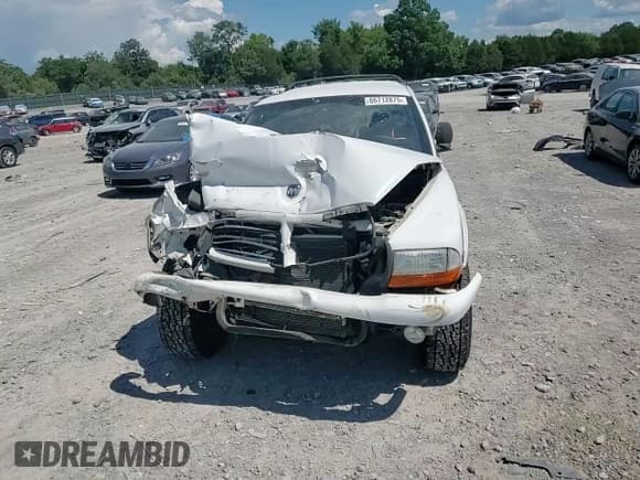 ✅ 2000 Dodge Durango • VIN: 1B4HS28N7YF251712 • Lot: 66712875. Wystawiony na Copart z przebiegiem 204 752 mil. Bezpłatny archiwum sprzedaży aukcyjnych z USA i szczegółowy raport historii pojazdu na DreamBid. Zdjęcie 15.