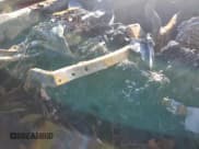 ✅ 2002 Chevrolet Silverado 2500HD LT • VIN: 1GCHK23152F153955 • Лот: 93666755. Опубликован ранее на Copart с пробегом Не указан. Бесплатный доступ к архиву аукционных продаж из США и подробный отчёт об истории автомобиля на DreamBid. Изображение 9.