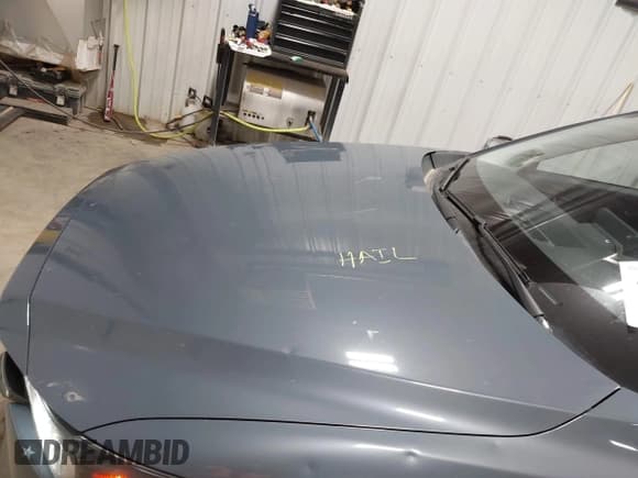 ✅ 2023 Mazda CX-5 S Carbon Edition • VIN: JM3KFBCM3P0135122 • Лот: 43502705. Опубликован ранее на IAAI с пробегом 37 377 миль. Бесплатный доступ к архиву аукционных продаж из США и подробный отчёт об истории автомобиля на DreamBid. Изображение 6.