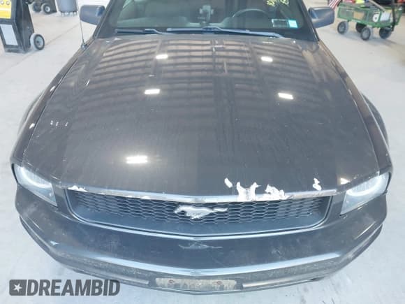 ✅ 2007 Ford Mustang Deluxe • VIN: 1ZVHT84N575330273 • Lot: 43074318. Listed on IAAI with 101,913 mi. Free auction sales archive from the USA and detailed vehicle history report at DreamBid. Image 6.
