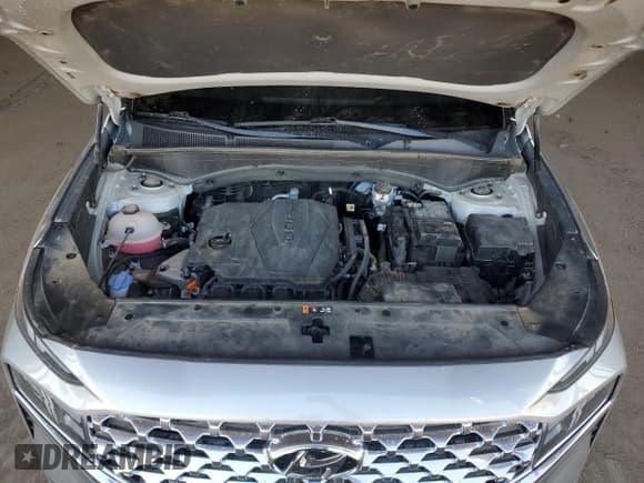 ✅ 2023 Hyundai Santa Fe SEL • VIN: 5NMS3DAJ6PH601857 • Lot: 85736895. Wystawiony na Copart z przebiegiem 23 680 mil. Bezpłatny archiwum sprzedaży aukcyjnych z USA i szczegółowy raport historii pojazdu na DreamBid. Zdjęcie 12.