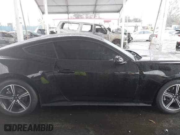 ✅ 2025 Ford Mustang EcoBoost • VIN: 1FA6P8TH4S5103570 • Лот: 43451614. Опубликован ранее на IAAI с пробегом 4 588 миль. Бесплатный доступ к архиву аукционных продаж из США и подробный отчёт об истории автомобиля на DreamBid. Изображение 13.