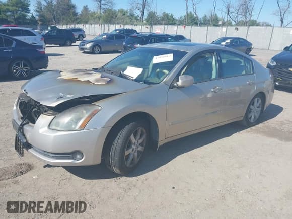 ✅ 2005 Nissan Maxima SE • VIN: 1N4BA41EX5C816488 • Lot: 41976910. Listed on IAAI with Not provided. Free auction sales archive from the USA and detailed vehicle history report at DreamBid. Image 2.