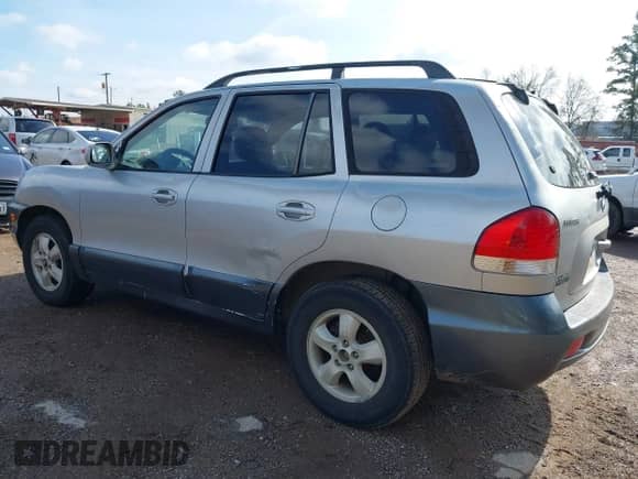 2005 Hyundai Santa Fe GLS с VIN KM8SC13D95U917986, выставлен на аукционе IAAI как лот 41423901 с пробегом 163 885 миль миль и . История ставок и продаж доступна на DreamBid. Изображение 3.
