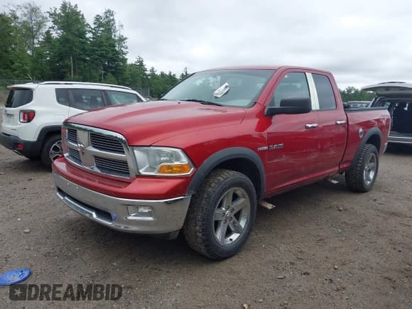 ✅ 2010 Dodge 1500 ST • VIN: 1D7RV1GT2AS114415 • Lot: 43035875. Wystawiony na IAAI z przebiegiem 157 527 mil. Bezpłatny archiwum sprzedaży aukcyjnych z USA i szczegółowy raport historii pojazdu na DreamBid. Zdjęcie 17.