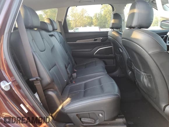 ✅ 2020 Kia Telluride EX • VIN: 5XYP3DHC7LG001964 • Lot: 81019525. Wystawiony na Copart z przebiegiem 142 545 mil. Bezpłatny archiwum sprzedaży aukcyjnych z USA i szczegółowy raport historii pojazdu na DreamBid. Zdjęcie 11.