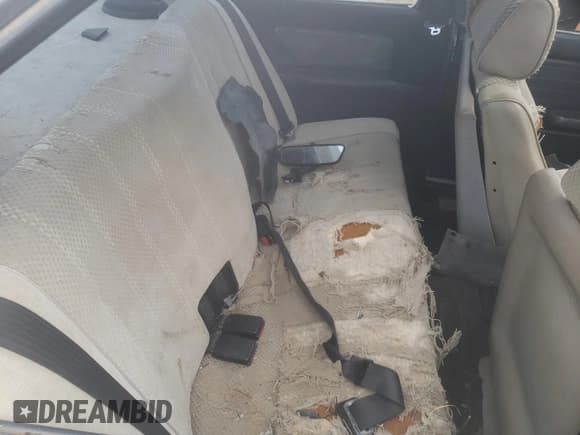 ✅ 1984 BMW 3 Series 325e • VIN: WBAAB5403E9505438 • Lot: 88057625. Listed on Copart with 31,011 mi. Free auction sales archive from the USA and detailed vehicle history report at DreamBid. Image 10.