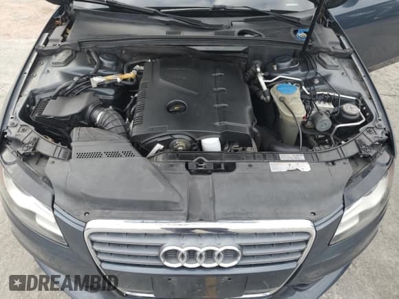 ✅ 2009 Audi A4 Premium Plus • VIN: WAUCF78KX9N057930 • Лот: 81656735. Опубликован ранее на Copart с пробегом 105 734 миль. Бесплатный доступ к архиву аукционных продаж из США и подробный отчёт об истории автомобиля на DreamBid. Изображение 11.