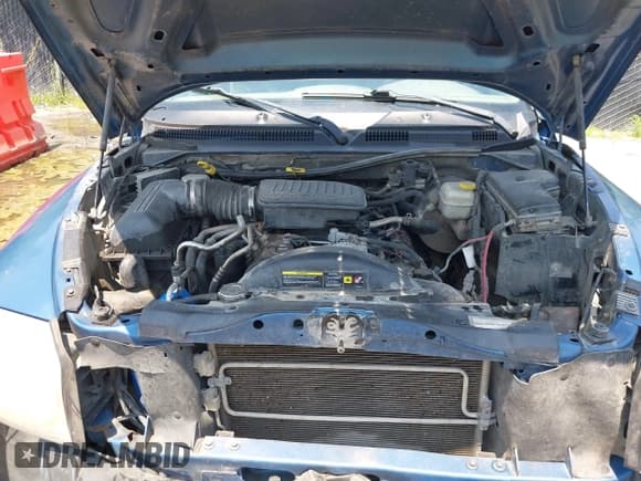 ✅ 2005 Dodge Dakota SLT • VIN: 1D7HW48N25S112499 • Lot: 42434700. Listed on IAAI with 216,817 mi. Free auction sales archive from the USA and detailed vehicle history report at DreamBid. Image 10.