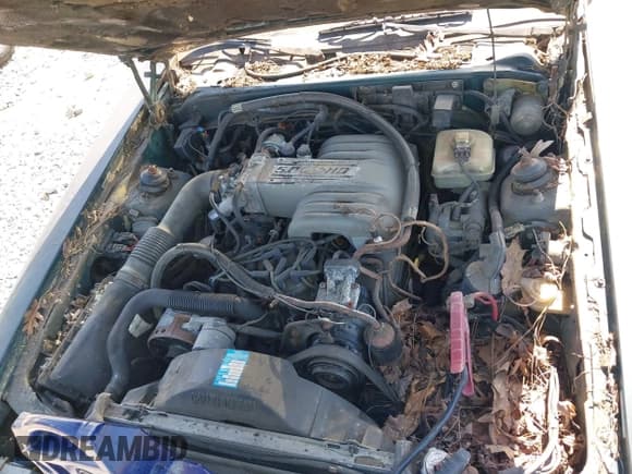 ✅ 1992 Lincoln Mark VIII • VIN: 1LNCM93E8NY623481 • Lot: 41835294. Wystawiony na IAAI z przebiegiem 123 271 mil. Bezpłatny archiwum sprzedaży aukcyjnych z USA i szczegółowy raport historii pojazdu na DreamBid. Zdjęcie 10.