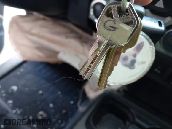 ✅ 2019 Toyota Tacoma SR • VIN: 3TMGZ5AN3KM247329 • Lot: 42756401. Listed on IAAI with 18,913 mi. Free auction sales archive from the USA and detailed vehicle history report at DreamBid. Image 11.