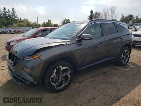✅ 2022 Hyundai Tucson Luxury • VIN: KM8JCCA14NU015147 • Lot: 71745414. Wystawiony na Copart z przebiegiem 85 222 mil. Bezpłatny archiwum sprzedaży aukcyjnych z USA i szczegółowy raport historii pojazdu na DreamBid. Zdjęcie 1.