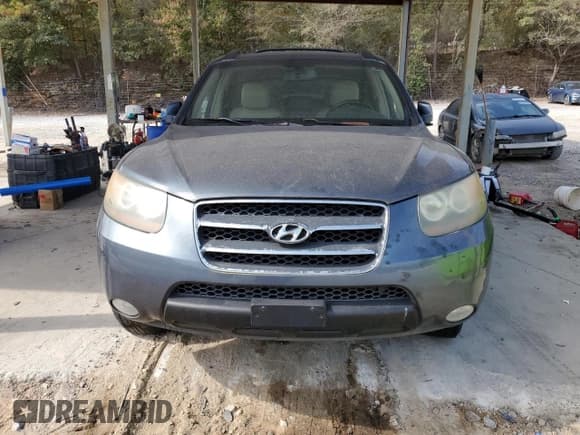✅ 2007 Hyundai Santa Fe SE • VIN: 5NMSH13EX7H011239 • Lot: 78725174. Listed on Copart with 151,461 mi. Free auction sales archive from the USA and detailed vehicle history report at DreamBid. Image 5.