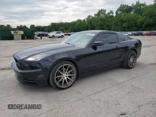 2014 Ford Mustang V6 с VIN 1ZVBP8AMXE5319384, выставлен на аукционе Copart как лот 63340345 с пробегом 63 255 миль миль и Списание • Salvage title. История ставок и продаж доступна на DreamBid. Изображение 1.