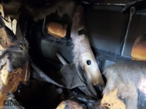 ✅ 2018 Nissan Frontier S • VIN: 1N6BD0CT9JN726993 • Lot: 41977385. Listed on IAAI with Not provided. Free auction sales archive from the USA and detailed vehicle history report at DreamBid. Image 8.