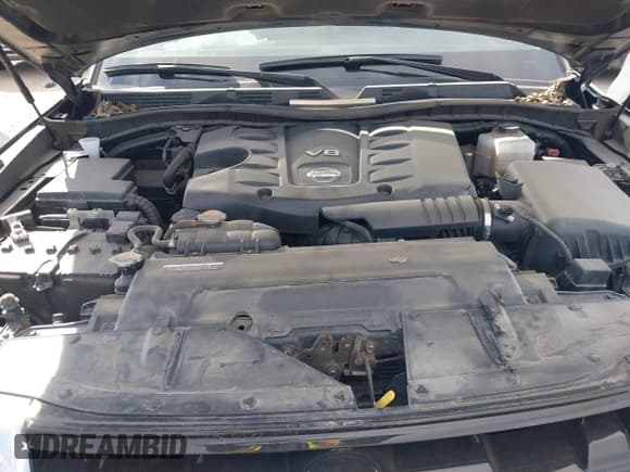 ✅ 2023 Nissan Armada SL • VIN: JN8AY2BC4P9183249 • Lot: 43831842. Listed on IAAI with 48,957 mi. Free auction sales archive from the USA and detailed vehicle history report at DreamBid. Image 10.