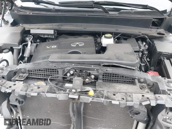 ✅ 2019 Infiniti QX60 Pure • VIN: 5N1DL0MN3KC558730 • Lot: 42171326. Listed on IAAI with 46,405 mi. Free auction sales archive from the USA and detailed vehicle history report at DreamBid. Image 10.