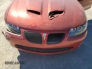 ✅ 2006 Pontiac GTO • VIN: 6G2VX12U96L546317 • Lot: 86619875. Listed on Copart with Not provided. Free auction sales archive from the USA and detailed vehicle history report at DreamBid. Image 11.