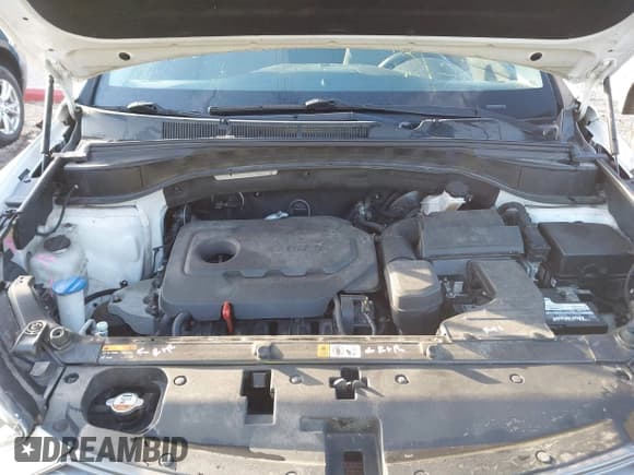 ✅ 2017 Hyundai Santa Fe 2.4L • VIN: 5NMZTDLB0HH023101 • Лот: 43494022. Опубликован ранее на IAAI с пробегом 104 605 миль. Бесплатный доступ к архиву аукционных продаж из США и подробный отчёт об истории автомобиля на DreamBid. Изображение 10.