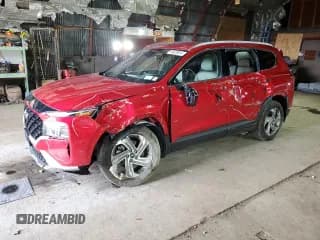 ✅ 2023 Hyundai Santa Fe SEL • VIN: 5NMS2DAJ3PH512301 • Lot: 49429914. Wystawiony na Copart z przebiegiem 13 358 mil. Bezpłatny archiwum sprzedaży aukcyjnych z USA i szczegółowy raport historii pojazdu na DreamBid. Zdjęcie 1.