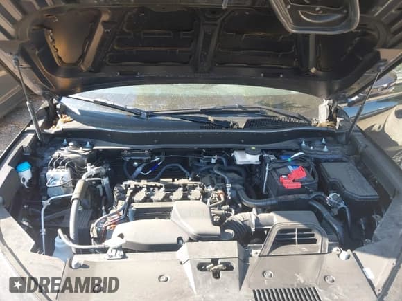 ✅ 2024 Honda CR-V EX • VIN: 7FARS4H44RE008850 • Lot: 43259887. Listed on IAAI with 13,338 mi. Free auction sales archive from the USA and detailed vehicle history report at DreamBid. Image 10.