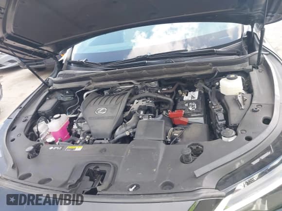 ✅ 2023 Lexus RX 350 • VIN: 2T2BAMCA9PC034273 • Lot: 42653429. Wystawiony na IAAI z przebiegiem 29 826 mil. Bezpłatny archiwum sprzedaży aukcyjnych z USA i szczegółowy raport historii pojazdu na DreamBid. Zdjęcie 10.