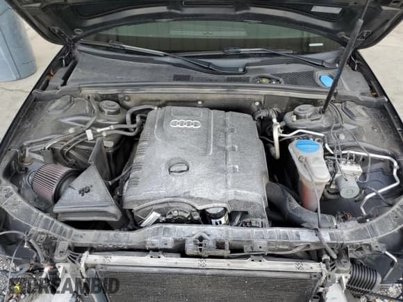 ✅ 2015 Audi A4 Premium Plus • VIN: WAUFFAFL4FN022771 • Lot: 81417435. Wystawiony na Copart z przebiegiem 82 255 mil. Bezpłatny archiwum sprzedaży aukcyjnych z USA i szczegółowy raport historii pojazdu na DreamBid. Zdjęcie 11.