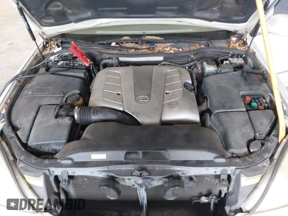 ✅ 2001 Lexus LS 430 • VIN: JTHBN30F410025189 • Lot: 42996702. Listed on IAAI with 265,940 mi. Free auction sales archive from the USA and detailed vehicle history report at DreamBid. Image 10.