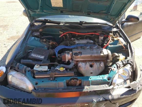 ✅ 1995 Honda Civic CX • VIN: 2HGEH2366SH516261 • Лот: 69841195. Опубликован ранее на Copart с пробегом 246 516 миль. Бесплатный доступ к архиву аукционных продаж из США и подробный отчёт об истории автомобиля на DreamBid. Изображение 12.