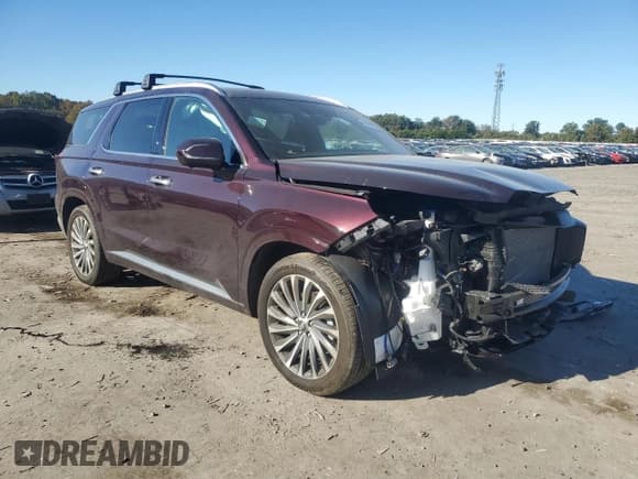 ✅ 2024 Hyundai Palisade Calligraphy • VIN: KM8R7DGE8RU690724 • Lot: 86465685. Listed on Copart with 23,523 mi. Free auction sales archive from the USA and detailed vehicle history report at DreamBid. Image 4.