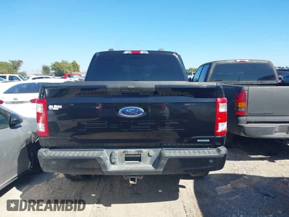 ✅ 2023 Ford F-150 XL • VIN: 1FTEW1CP4PKE52289 • Lot: 43543446. Wystawiony na IAAI z przebiegiem 68 557 mil. Bezpłatny archiwum sprzedaży aukcyjnych z USA i szczegółowy raport historii pojazdu na DreamBid. Zdjęcie 16.