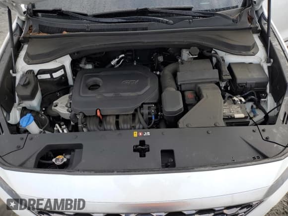 ✅ 2020 Hyundai Santa Fe SEL • VIN: 5NMS3CAD3LH210969 • Lot: 43171894. Wystawiony na Copart z przebiegiem 31 918 mil. Bezpłatny archiwum sprzedaży aukcyjnych z USA i szczegółowy raport historii pojazdu na DreamBid. Zdjęcie 12.