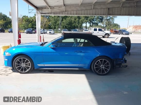 ✅ 2020 Ford Mustang EcoBoost Premium • VIN: 1FATP8UH4L5156790 • Lot: 43701894. Wystawiony na IAAI z przebiegiem 50 775 mil. Bezpłatny archiwum sprzedaży aukcyjnych z USA i szczegółowy raport historii pojazdu na DreamBid. Zdjęcie 15.