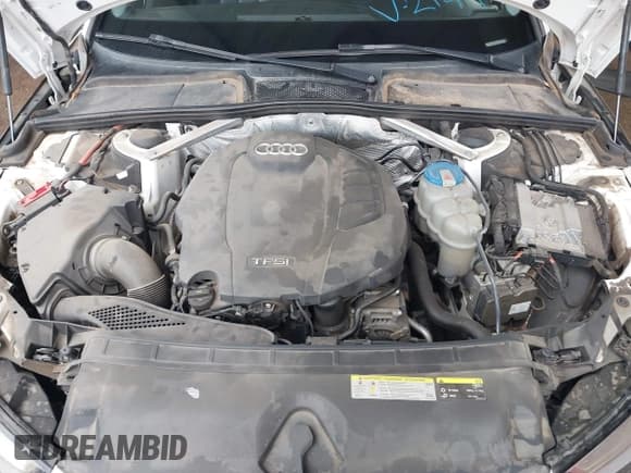 ✅ 2017 Audi A4 Premium • VIN: WAUANAF48HN002144 • Лот: 43435375. Опубликован ранее на IAAI с пробегом Не указан. Бесплатный доступ к архиву аукционных продаж из США и подробный отчёт об истории автомобиля на DreamBid. Изображение 10.