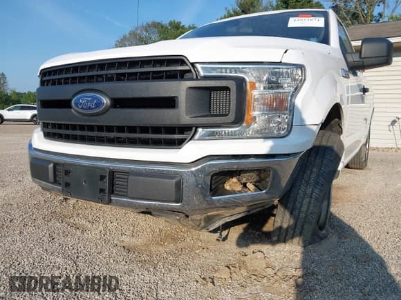 ✅ 2019 Ford F-150 XL • VIN: 1FTMF1CB2KKF00011 • Lot: 42923871. Listed on IAAI with 63,848 mi. Free auction sales archive from the USA and detailed vehicle history report at DreamBid. Image 17.