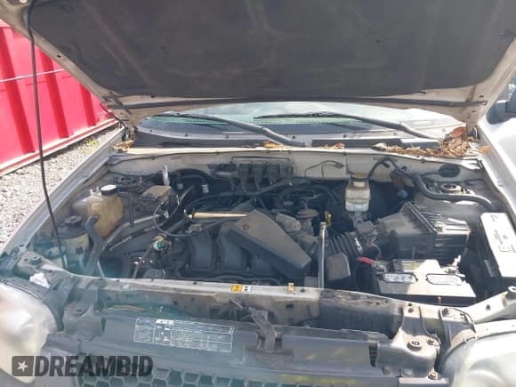 ✅ 2005 Ford Escape XLT • VIN: 1FMCU93125KA25998 • Lot: 42413196. Listed on IAAI with 192,490 mi. Free auction sales archive from the USA and detailed vehicle history report at DreamBid. Image 10.