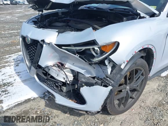 ✅ 2021 Alfa Romeo Stelvio • VIN: ZASPAJAN8M7D05357 • Лот: 41581596. Опубликован ранее на IAAI с пробегом 55 112 миль. Бесплатный доступ к архиву аукционных продаж из США и подробный отчёт об истории автомобиля на DreamBid. Изображение 6.