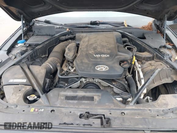 ✅ 2016 Hyundai Genesis 3.8L • VIN: KMHGN4JE3GU106717 • Lot: 40319357. Wystawiony na IAAI z przebiegiem 207 077 mil. Bezpłatny archiwum sprzedaży aukcyjnych z USA i szczegółowy raport historii pojazdu na DreamBid. Zdjęcie 10.